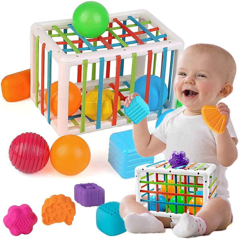 Montessori Toddler Grip & Fine Motor Skills Training Toy